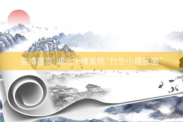 亚博首页 湖北十堰发现“竹生小塔氏菌”