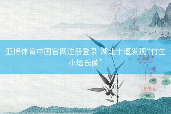 亚博体育中国官网注册登录 湖北十堰发现“竹生小塔氏菌”