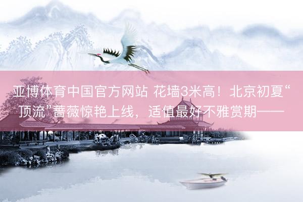 亚博体育中国官方网站 花墙3米高！北京初夏“顶流”蔷薇惊艳上线，适值最好不雅赏期——