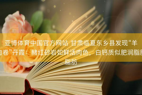 亚博体育中国官方网站 甘肃临夏东乡县发现“羊肉卷”丹霞：赭红砂岩如鲜活肉色，白钙质似肥润脂肪