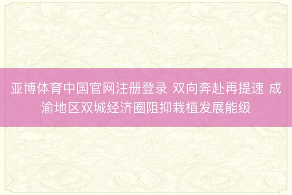 亚博体育中国官网注册登录 双向奔赴再提速 成渝地区双城经济圈阻抑栽植发展能级