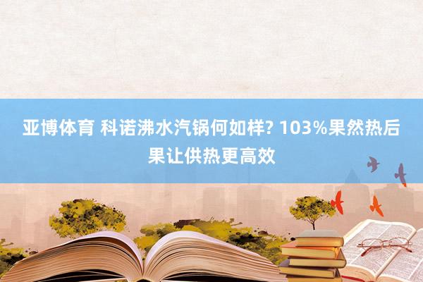 亚博体育 科诺沸水汽锅何如样? 103%果然热后果让供热更高效